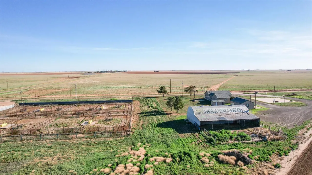 Photo 33 — 561 FM 302, Springlake, TX 79082