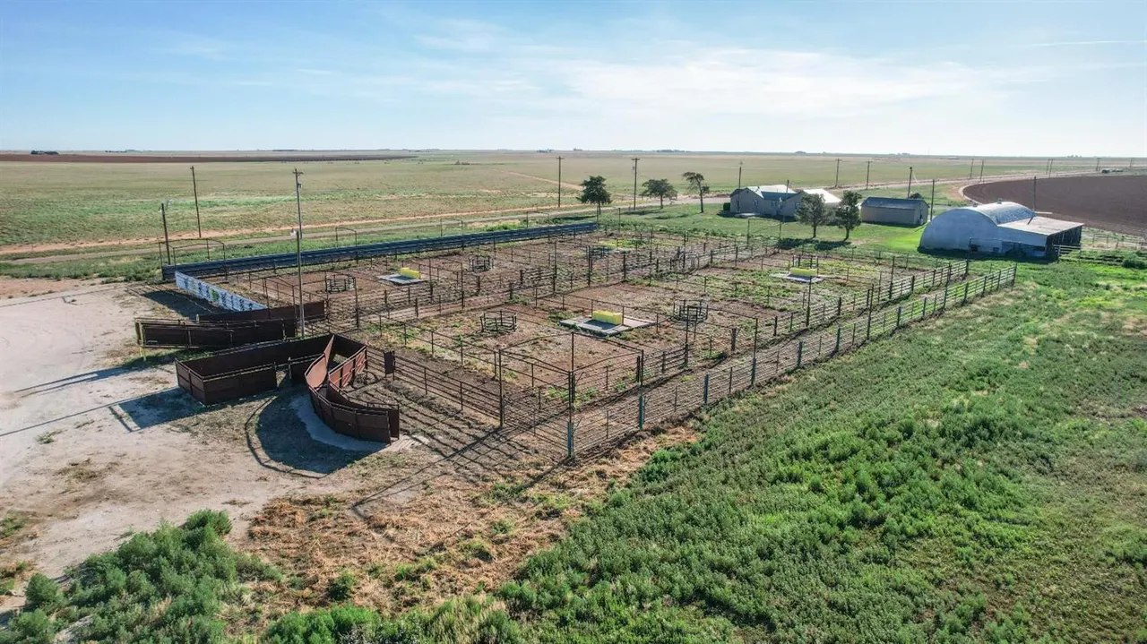 Photo 38 — 561 FM 302, Springlake, TX 79082
