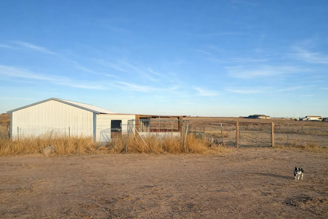 Photo 11 — 4225 County Road 1200, Lubbock, TX 79407