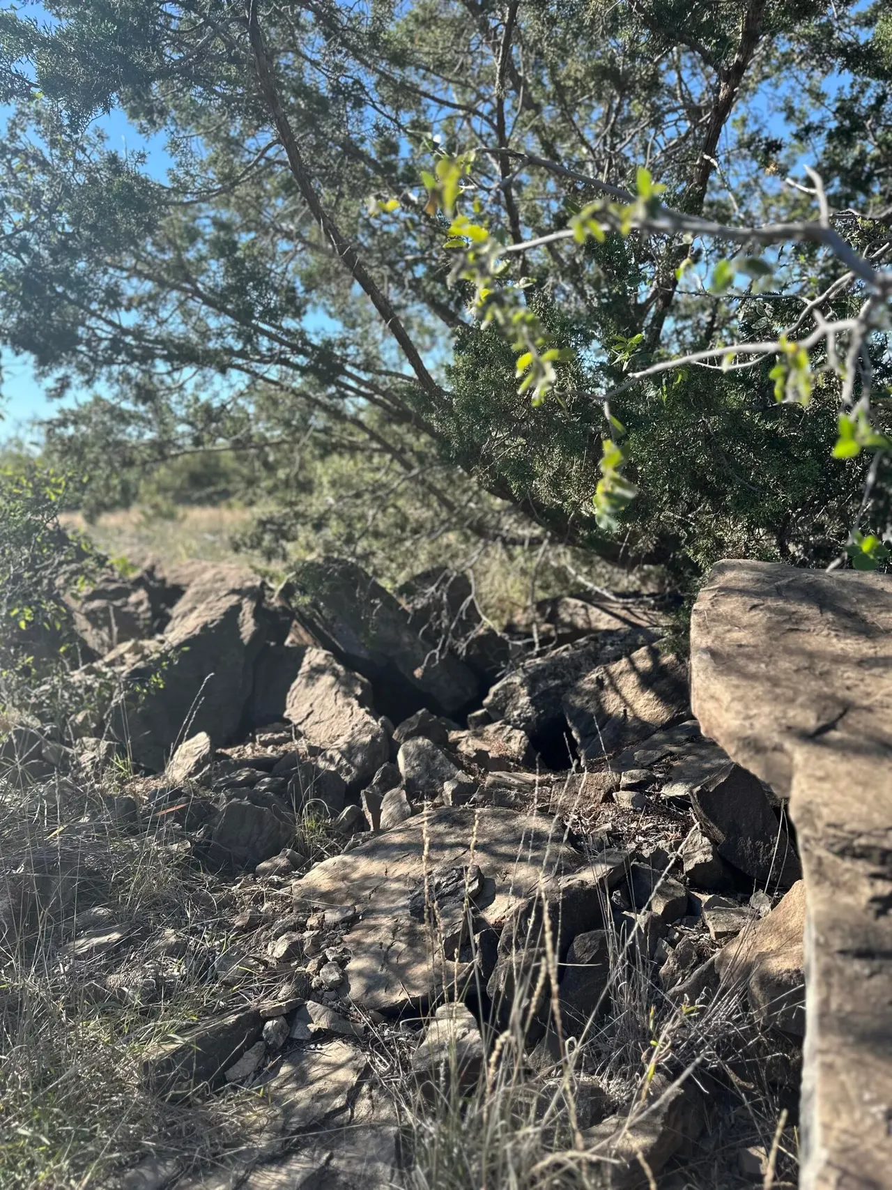 Photo 9 — 102 Lot, Justiceburg, TX 79330