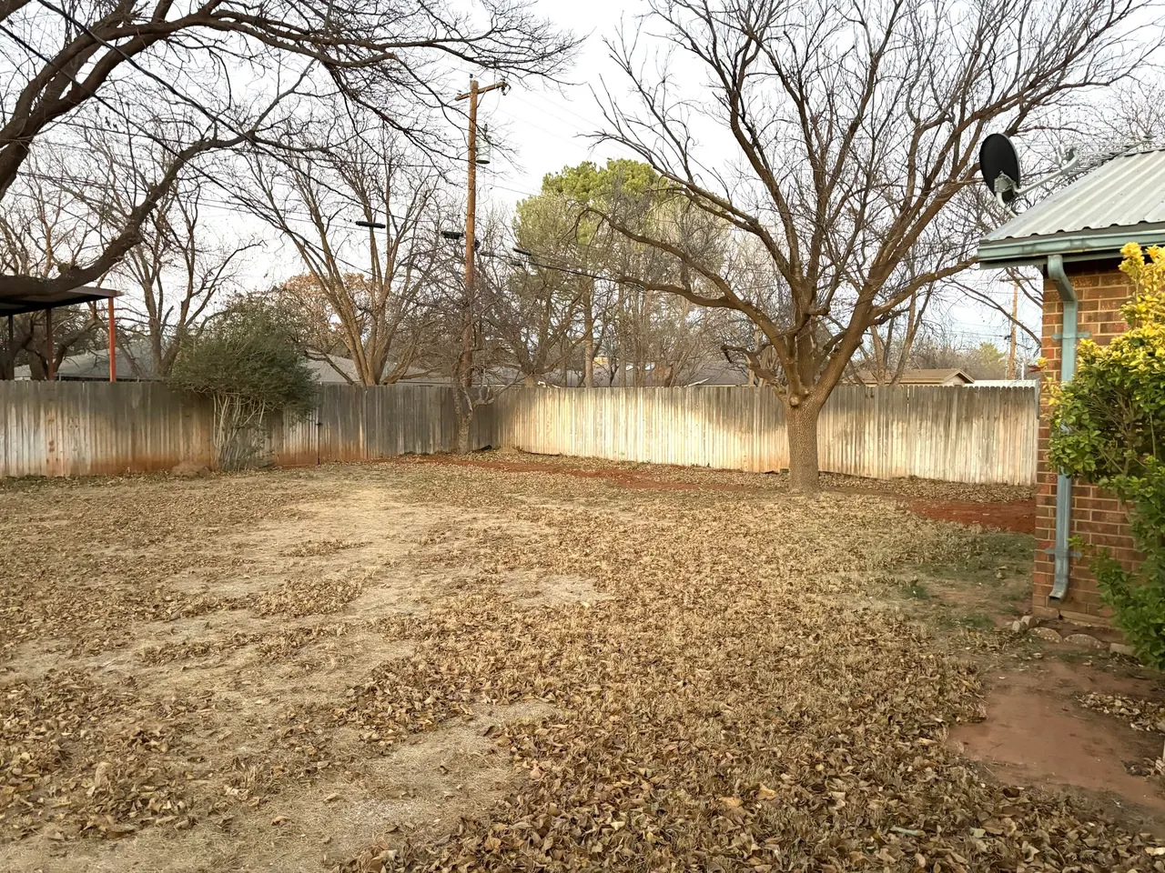 Photo 46 — 1807 E Reppto Street, Brownfield, TX 79316