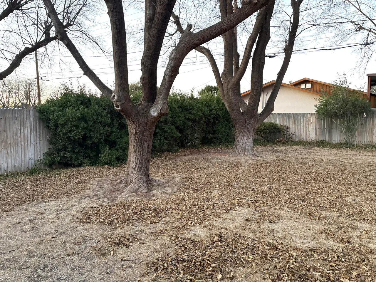 Photo 47 — 1807 E Reppto Street, Brownfield, TX 79316