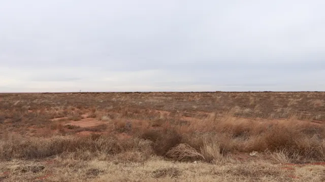 Front exterior — 0 N 385  Highway, Whitharral, TX 79380