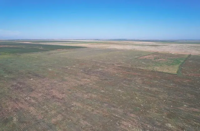 Photo 4 — 0 N 385  Highway, Whitharral, TX 79380