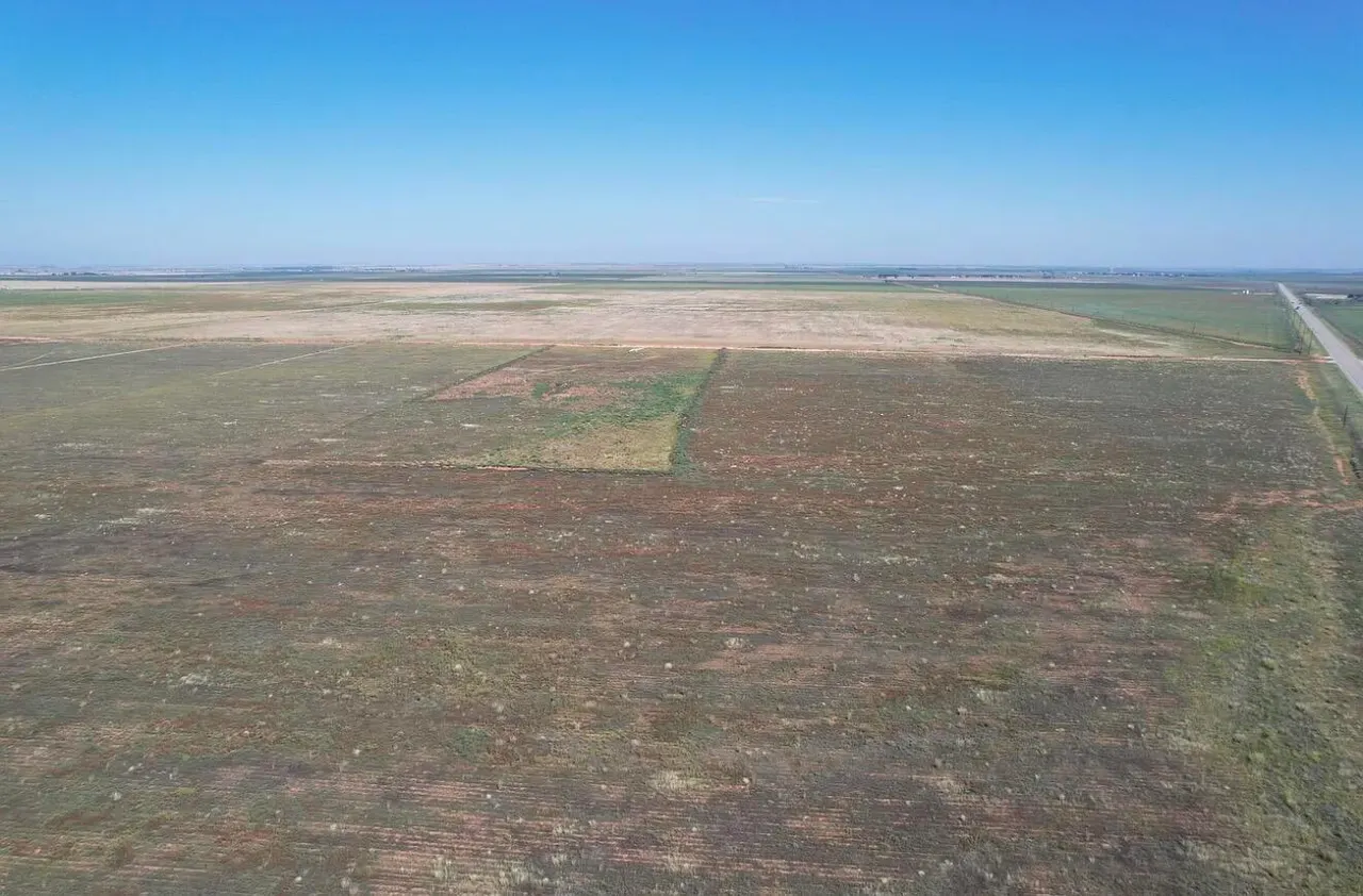 Photo 5 — 0 N 385  Highway, Whitharral, TX 79380