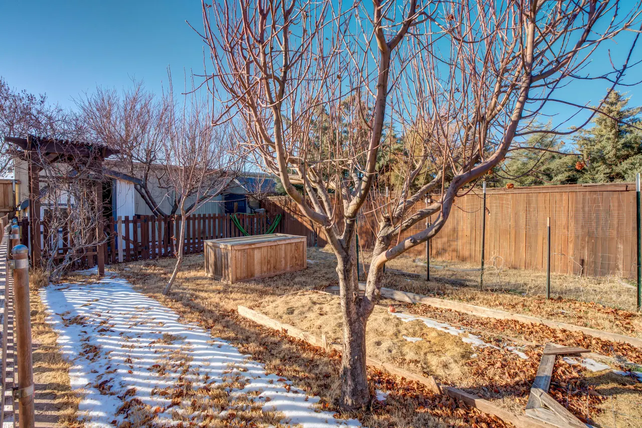 Photo 85 — 8118 County Rd 7610, Wolfforth, TX 79382