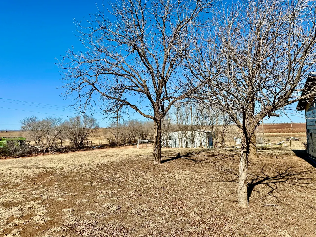 Photo 23 — 488 Co Road 4, Turkey, TX 79261