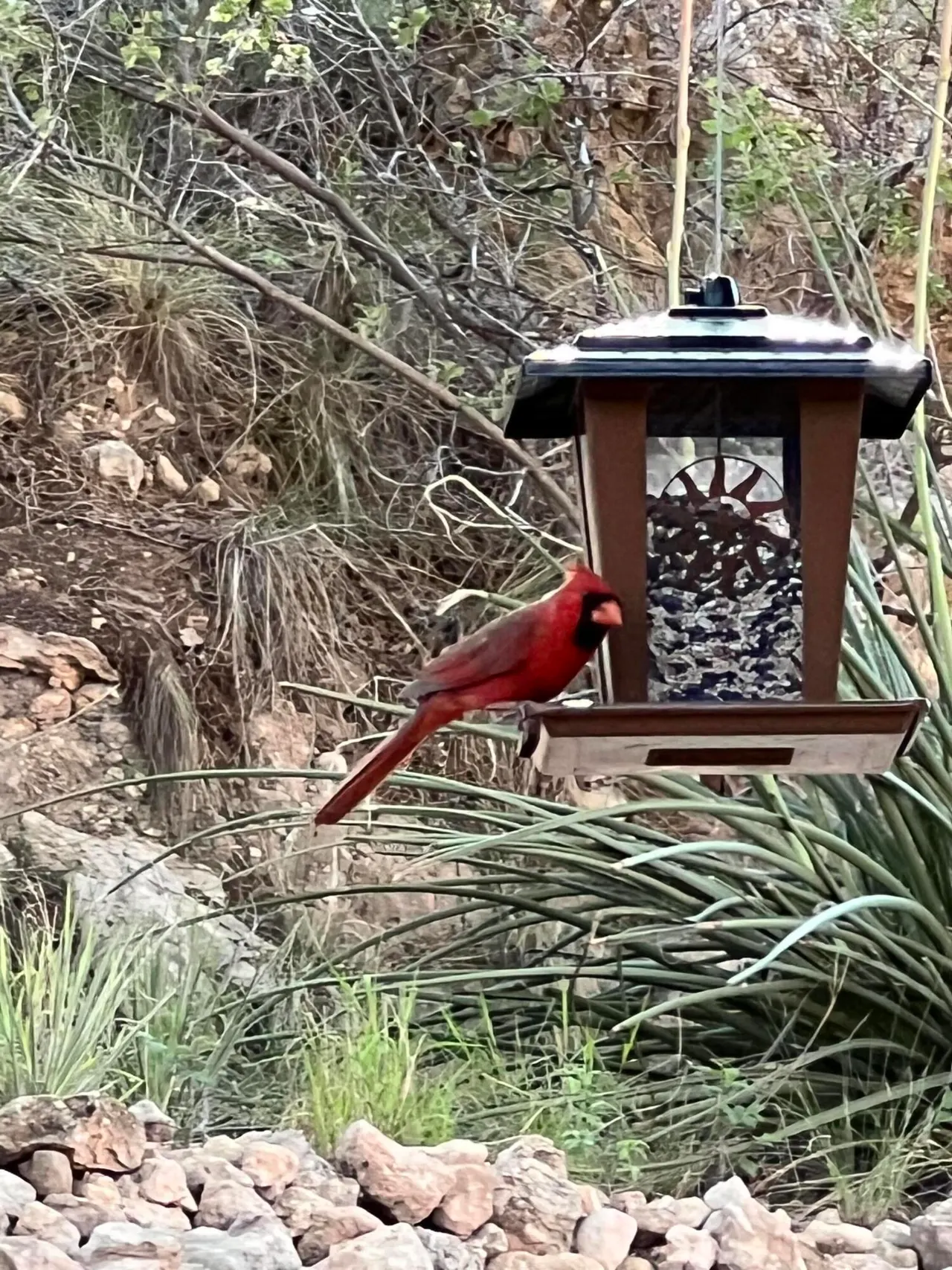 Photo 87 — 109 S Lakeshore Drive, Ransom Canyon, TX 79366