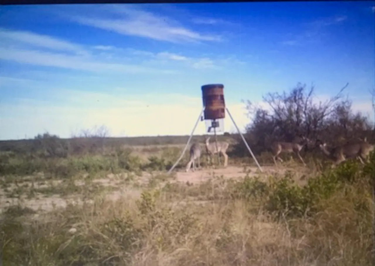 Photo 42 — N State Hwy 349, Dryden, TX 78851