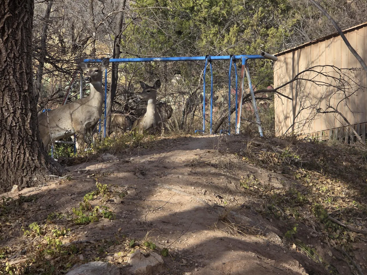 Photo 20 — 12 Foothill Drive, Ransom Canyon, TX 79366