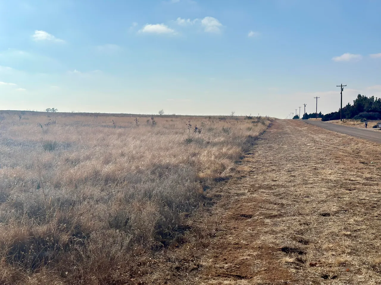 Photo 12 — Maine Road, Anton, TX 79313