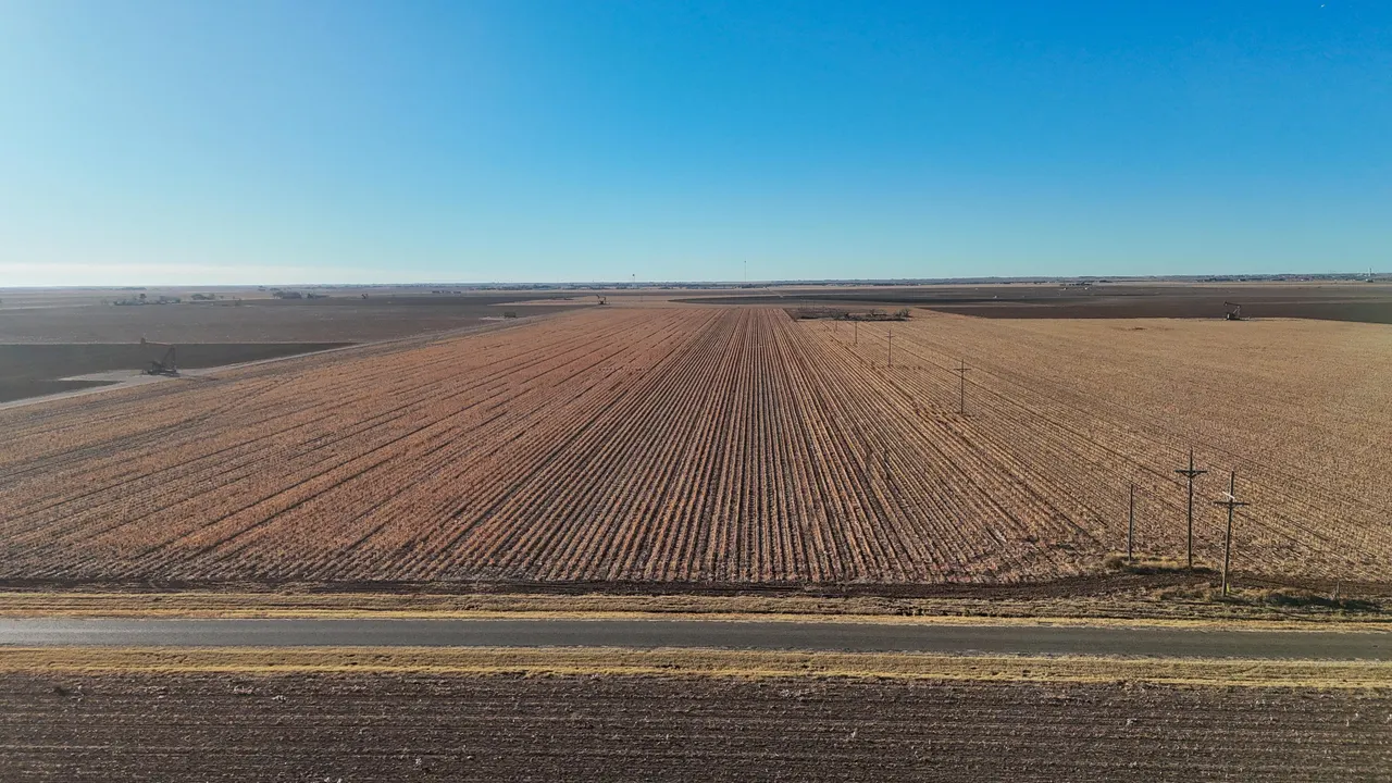 Photo 2 — Tract 24 Roosevelt Farms CR 3300, Slaton, TX 79364