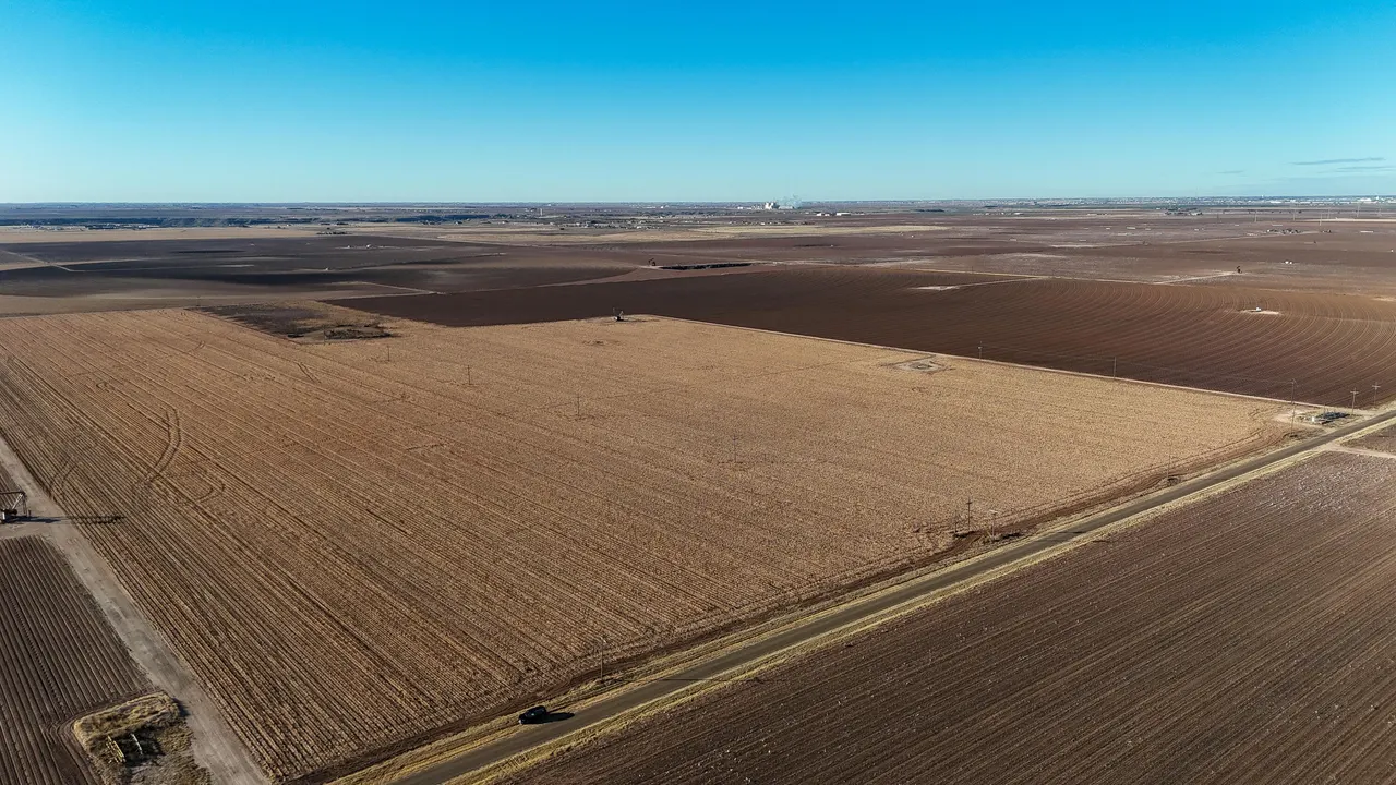 Photo 6 — Tract 24 Roosevelt Farms CR 3300, Slaton, TX 79364