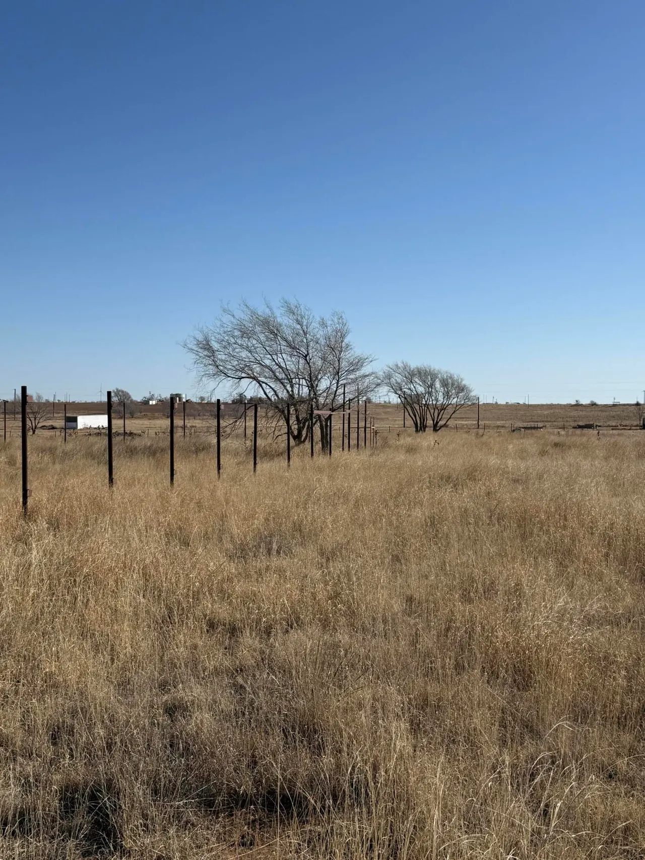Photo 28 — 6726 E Ellis  Street, Smyer, TX 79367