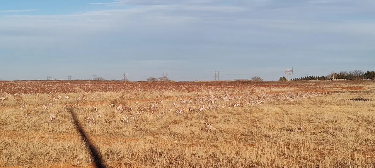 Photo 3 — 0 CR 305 Lot 20, Wellman, TX 79378
