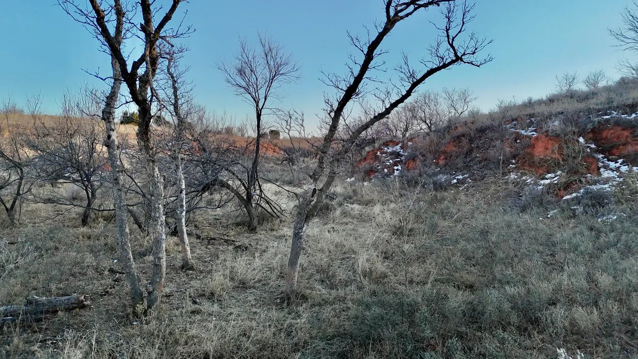 Photo 14 — Farm To Market 1440, Cee Vee, TX 79223