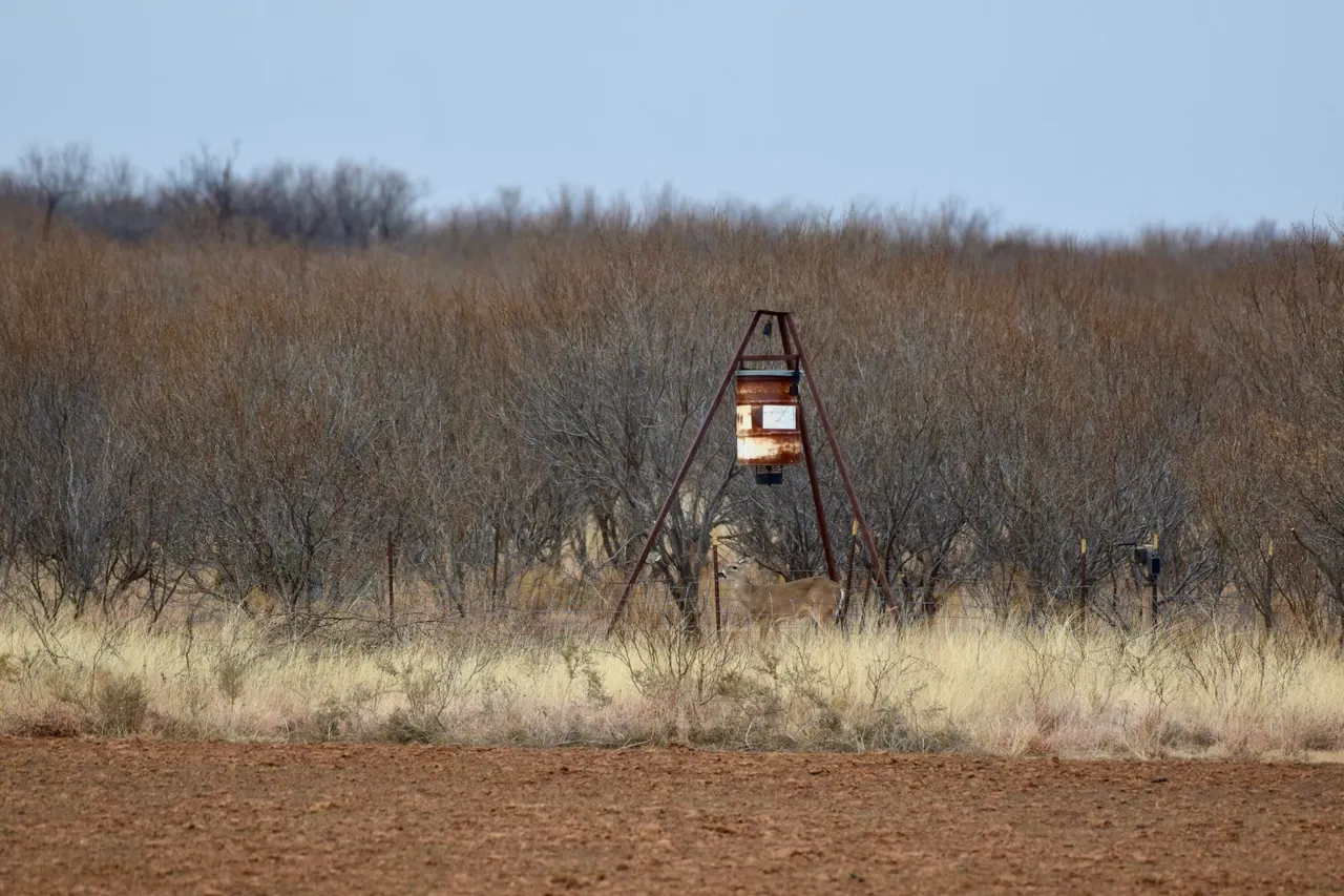 Photo 42 — Farm To Market 1440, Cee Vee, TX 79223