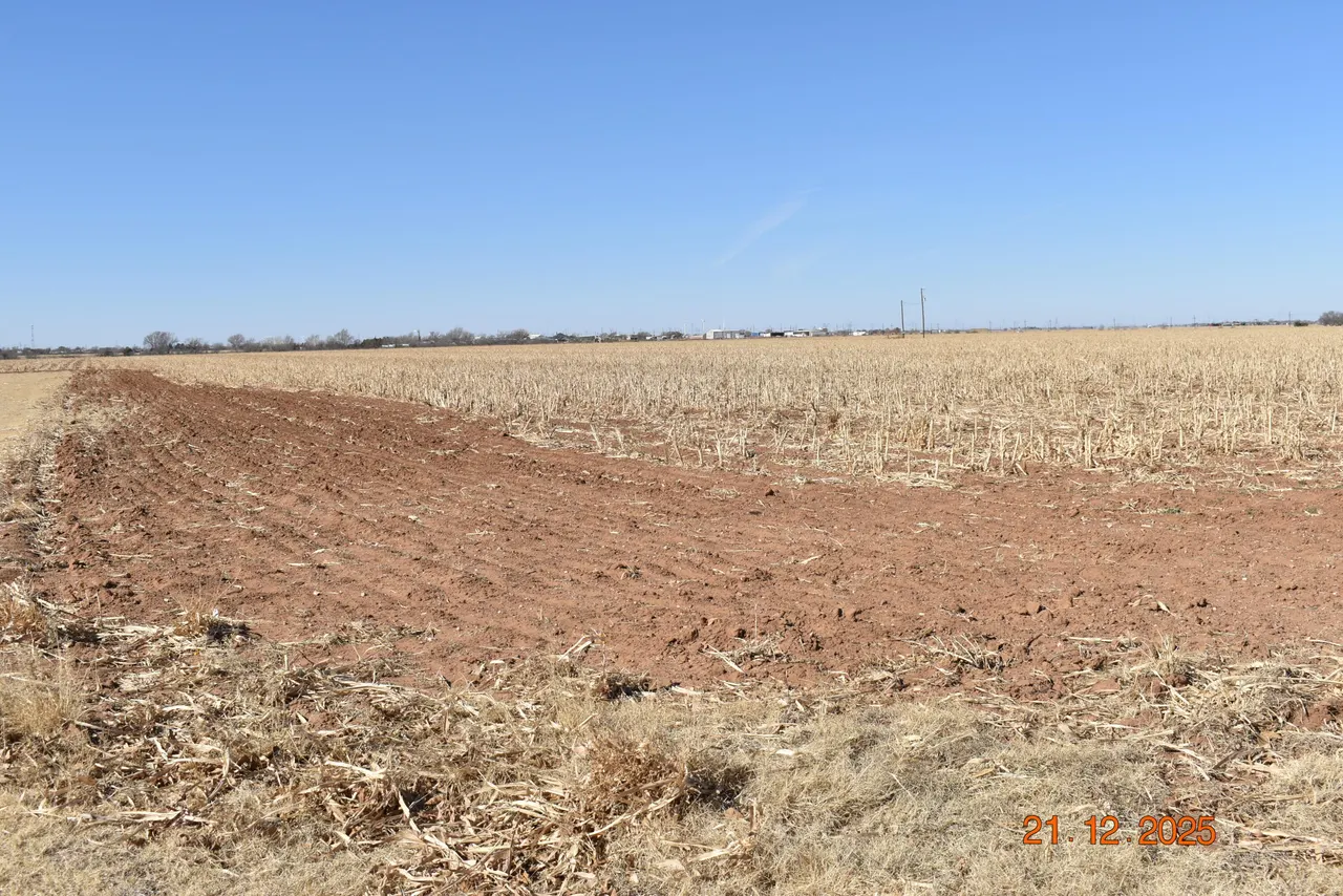 Photo 18 — 5112 County Rd 3300, Slaton, TX 79364