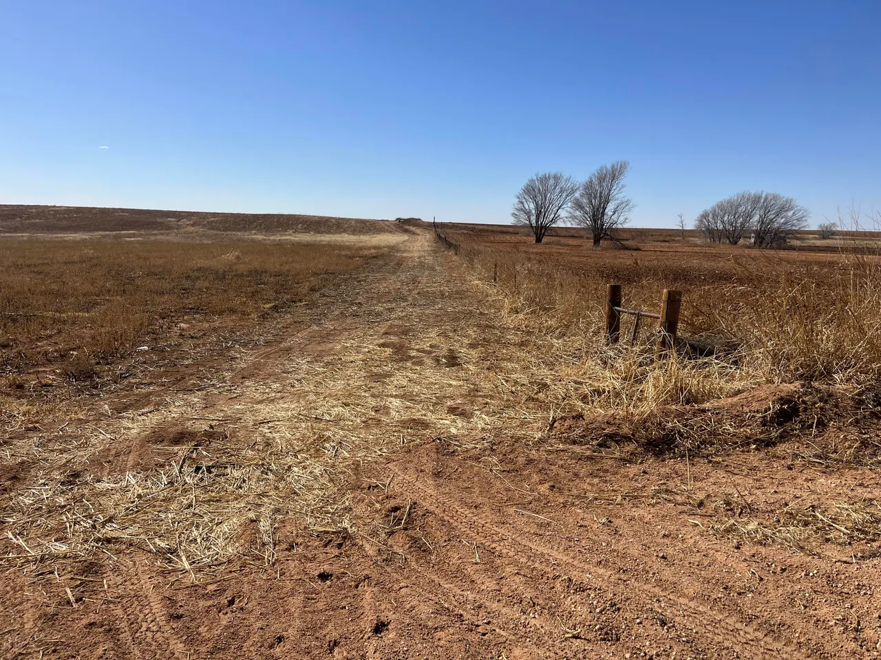 Photo 3 — S  Hwy. 87 Street, Lamesa, TX 79331