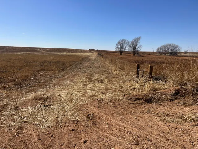 Photo 3 — S  Hwy. 87 Street, Lamesa, TX 79331