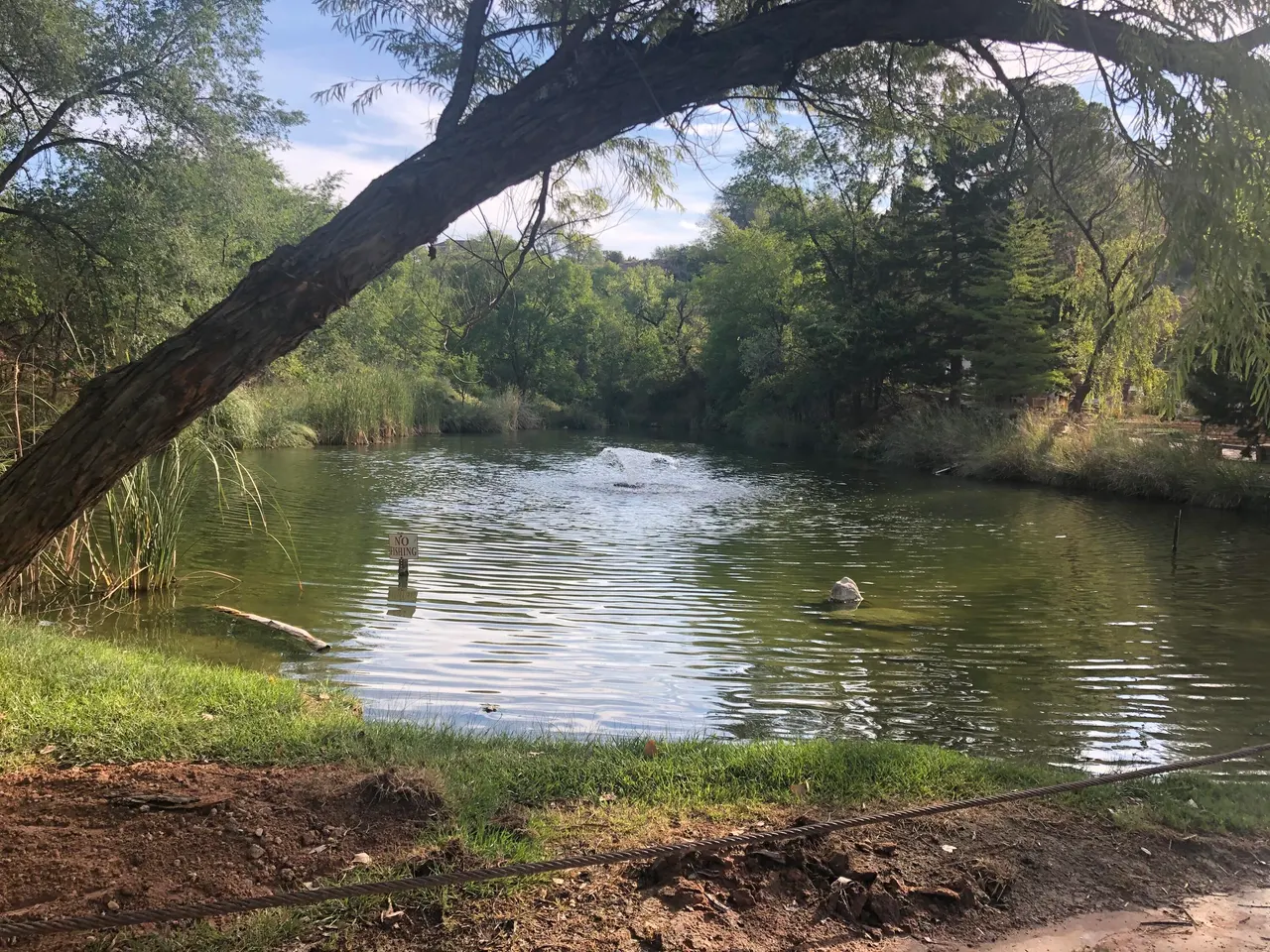 Photo 55 — 9 W Brookhollow Drive, Ransom Canyon, TX 79366