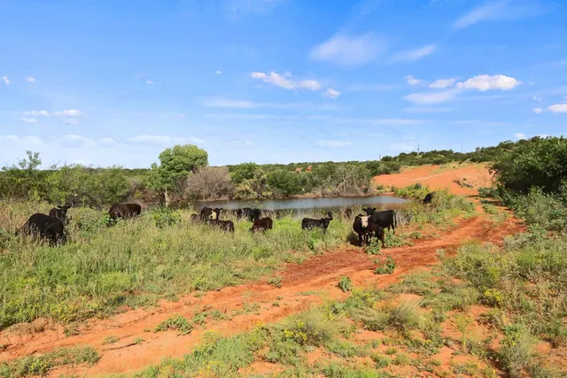 Photo 8 — 1441 Co Rd 362, Dickens, TX 79229
