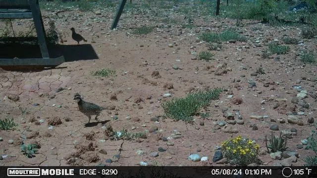 Photo 18 — 1441 Co Rd 362, Dickens, TX 79229