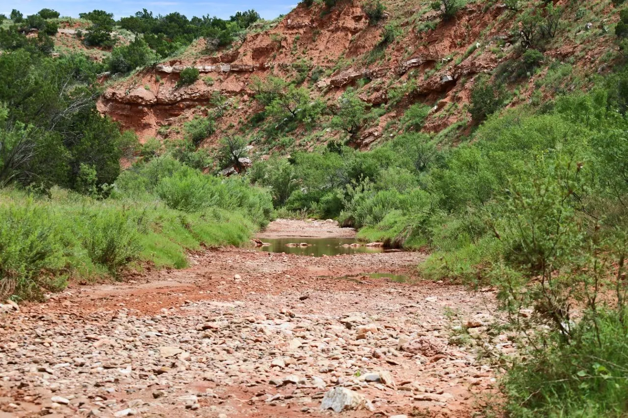 Photo 20 — 1441 Co Rd 362, Dickens, TX 79229