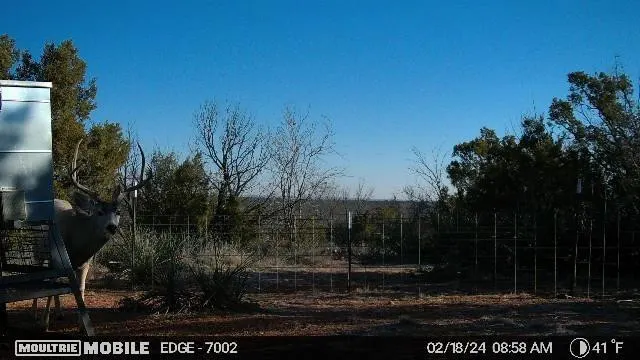 Photo 39 — 1441 Co Rd 362, Dickens, TX 79229