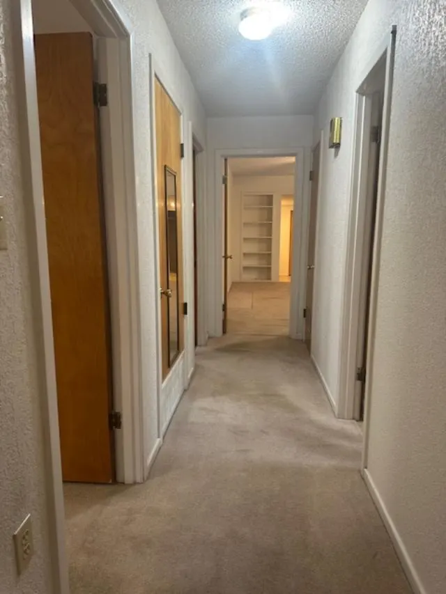Photo 19 — 508 W 6th Street, Idalou, TX 79329