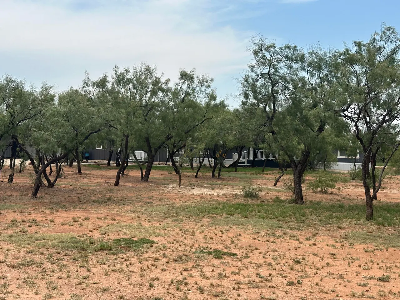 Photo 85 — 4200 CR 351 N, Snyder, TX 79549