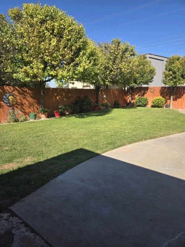 Photo 32 — 314 W Avenue J, Muleshoe, TX 79347