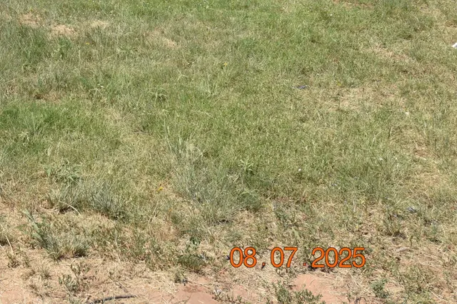 Front exterior — 316 E Ursuline Street, Lubbock, TX 79403