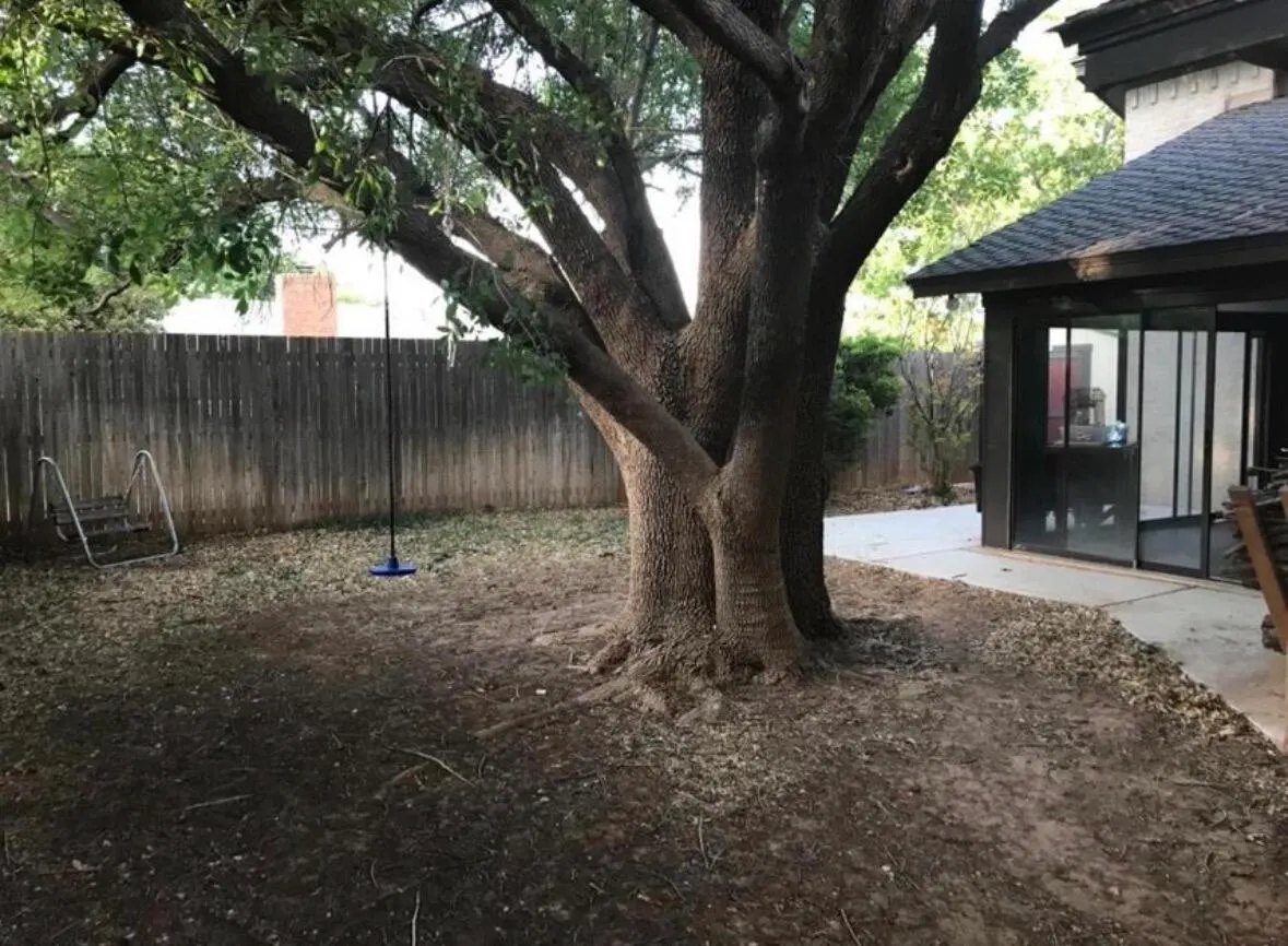 Photo 26 — 5310 88th Street, Lubbock, TX 79424
