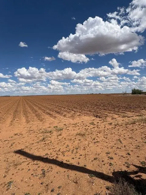 Photo 4 — 661 County Road E Road, Tahoka, TX 79373