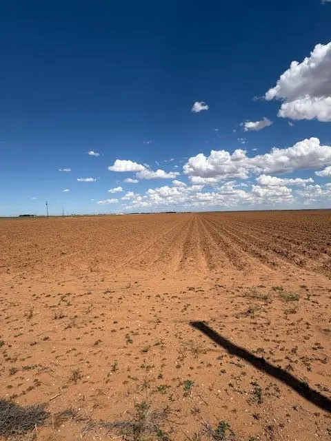Photo 5 — 661 County Road E Road, Tahoka, TX 79373