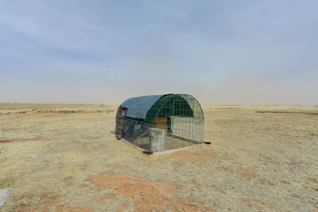 Photo 44 — 150 County Road 218, Seminole, TX 79360