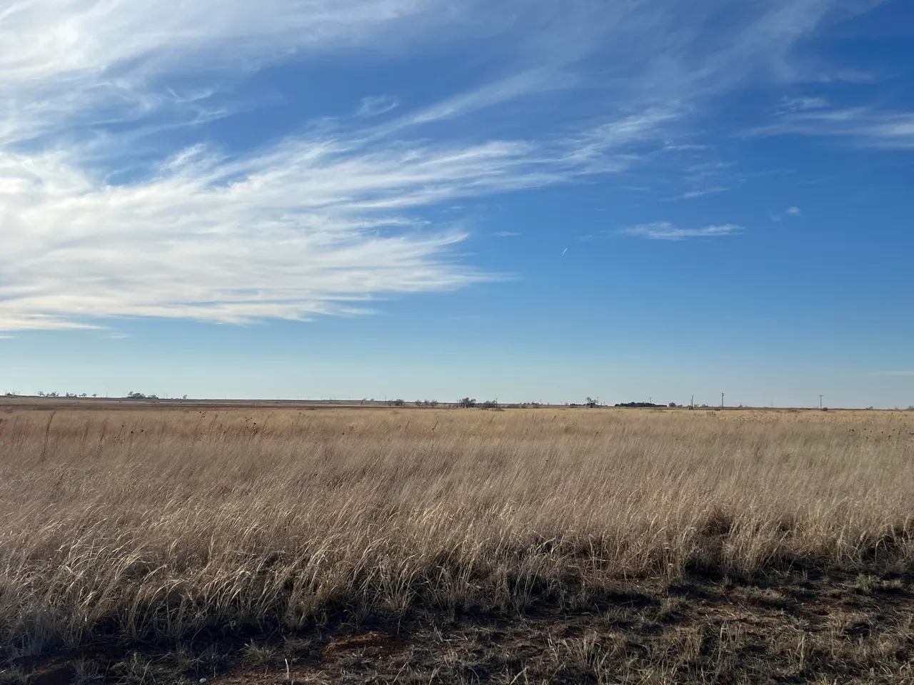 Photo 6 — 2 & 3 FM 2130, Anton, TX 79313