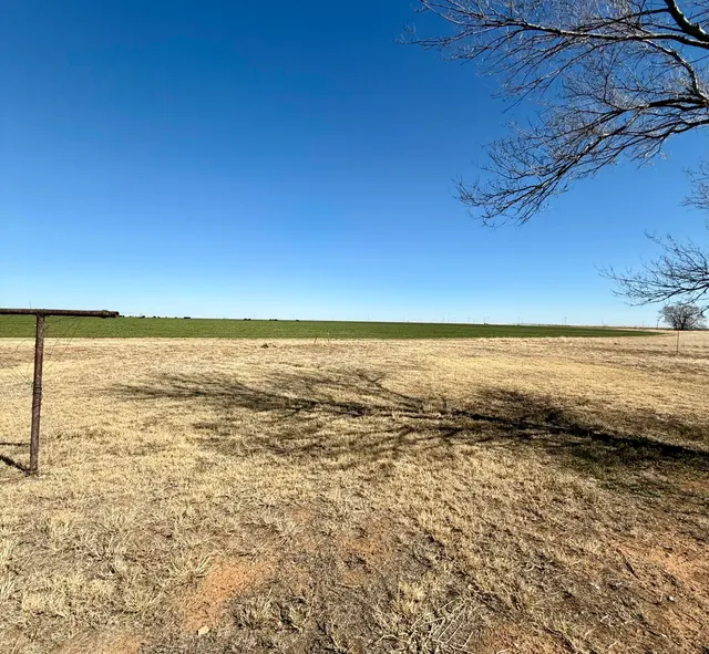 Photo 5 — 1307 Avenue A, Olton, TX 79064