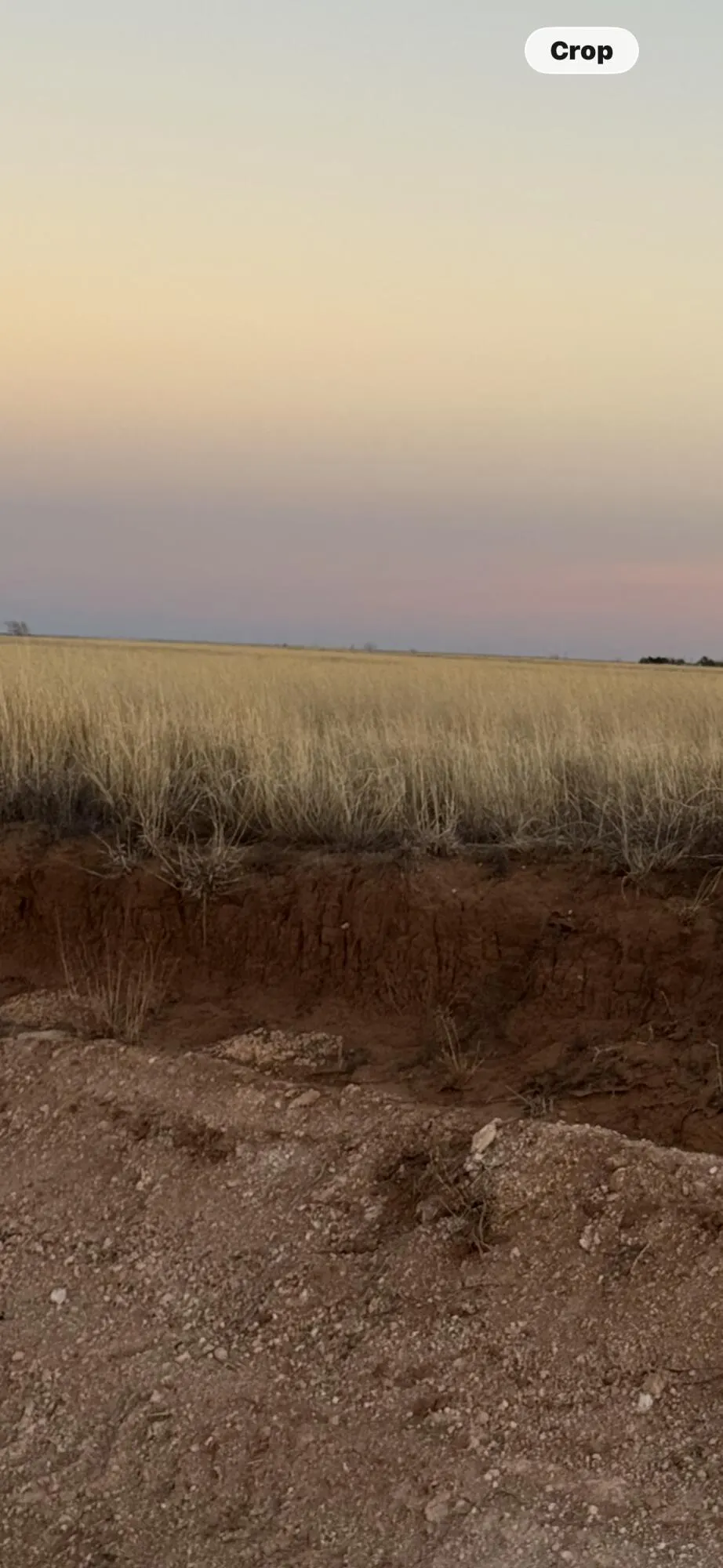 Photo 6 — Fm 1317, Tahoka, TX 79373