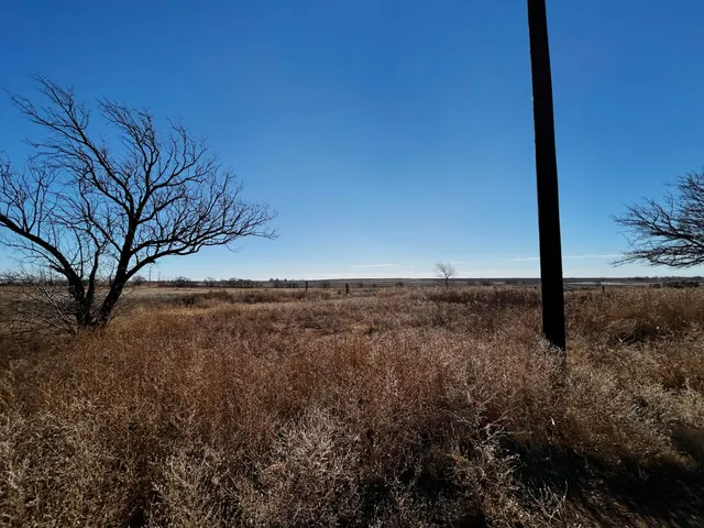 Photo 2 — 1343 Co Rd 222, Amherst, TX 79312