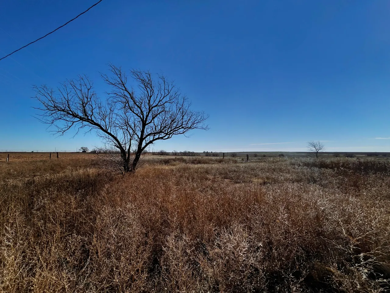 Photo 3 — 1343 Co Rd 222, Amherst, TX 79312