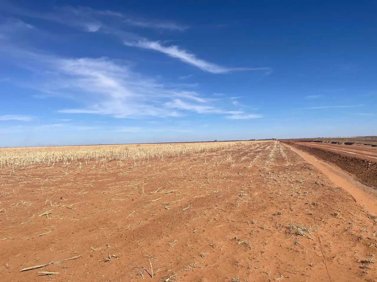 Photo 4 — Farm-To-Market Road Road 303, Brownfield, TX 79316
