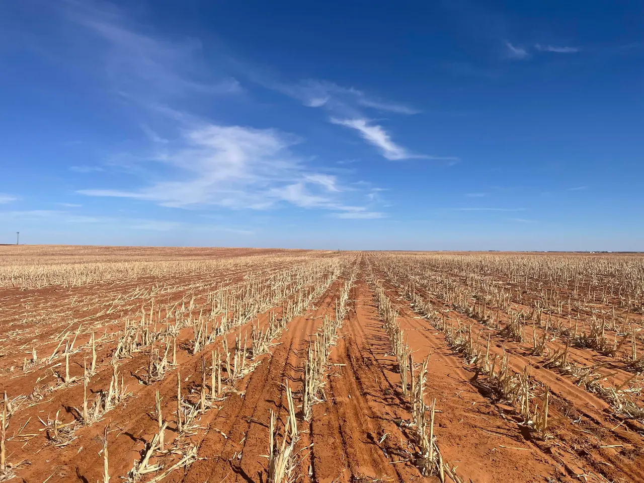 Photo 6 — Farm-To-Market Road Road 303, Brownfield, TX 79316