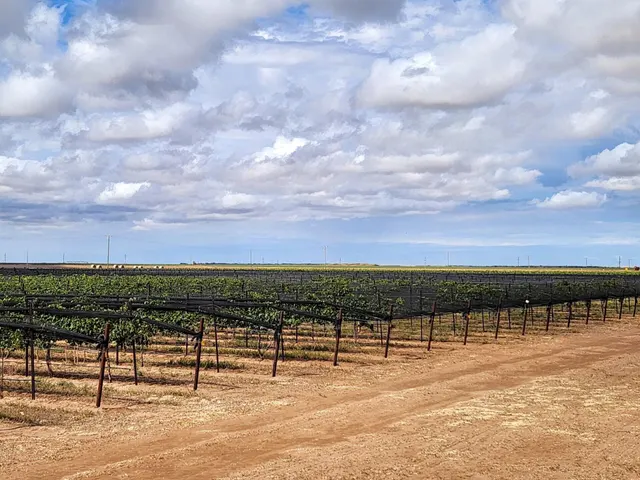 Photo 2 — 354 Farm To Market Road 1317, Tahoka, TX 79373