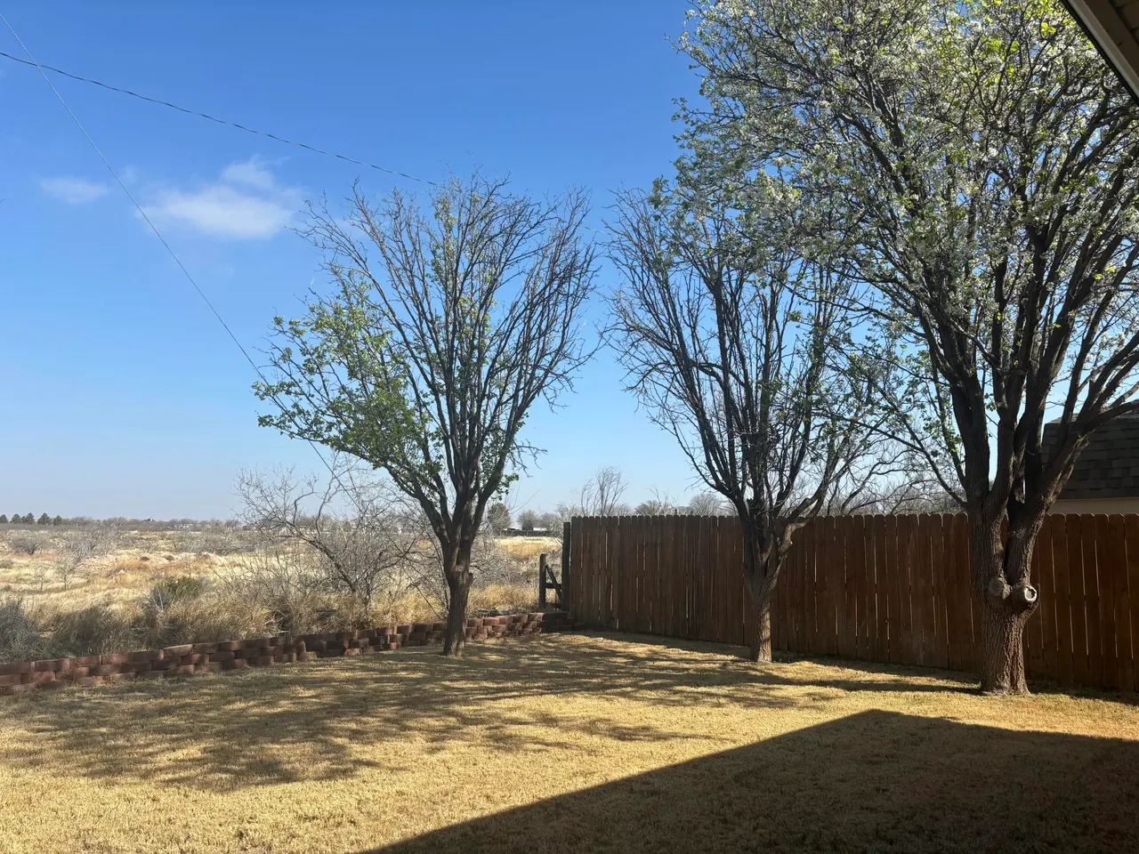 Photo 41 — 6 N Rim Road, Ransom Canyon, TX 79366