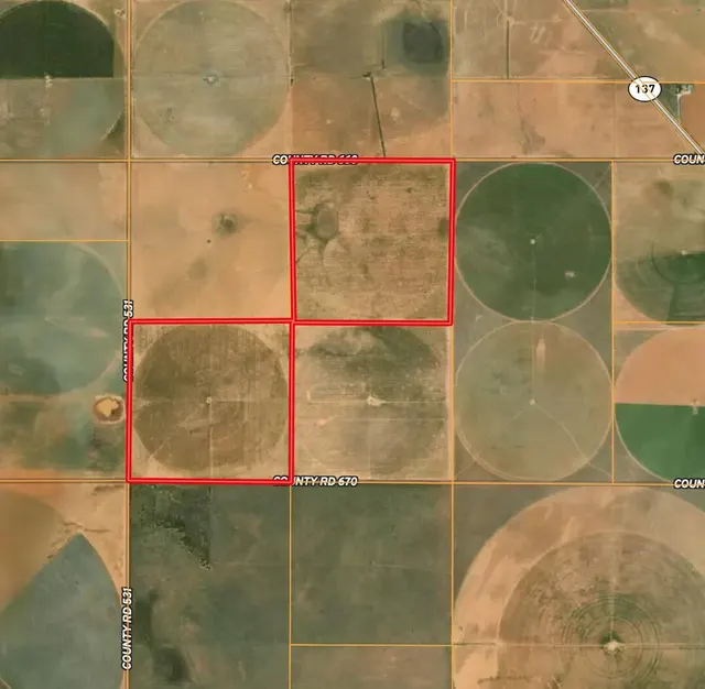 Photo 2 — County Rd 670, Brownfield, TX 79316