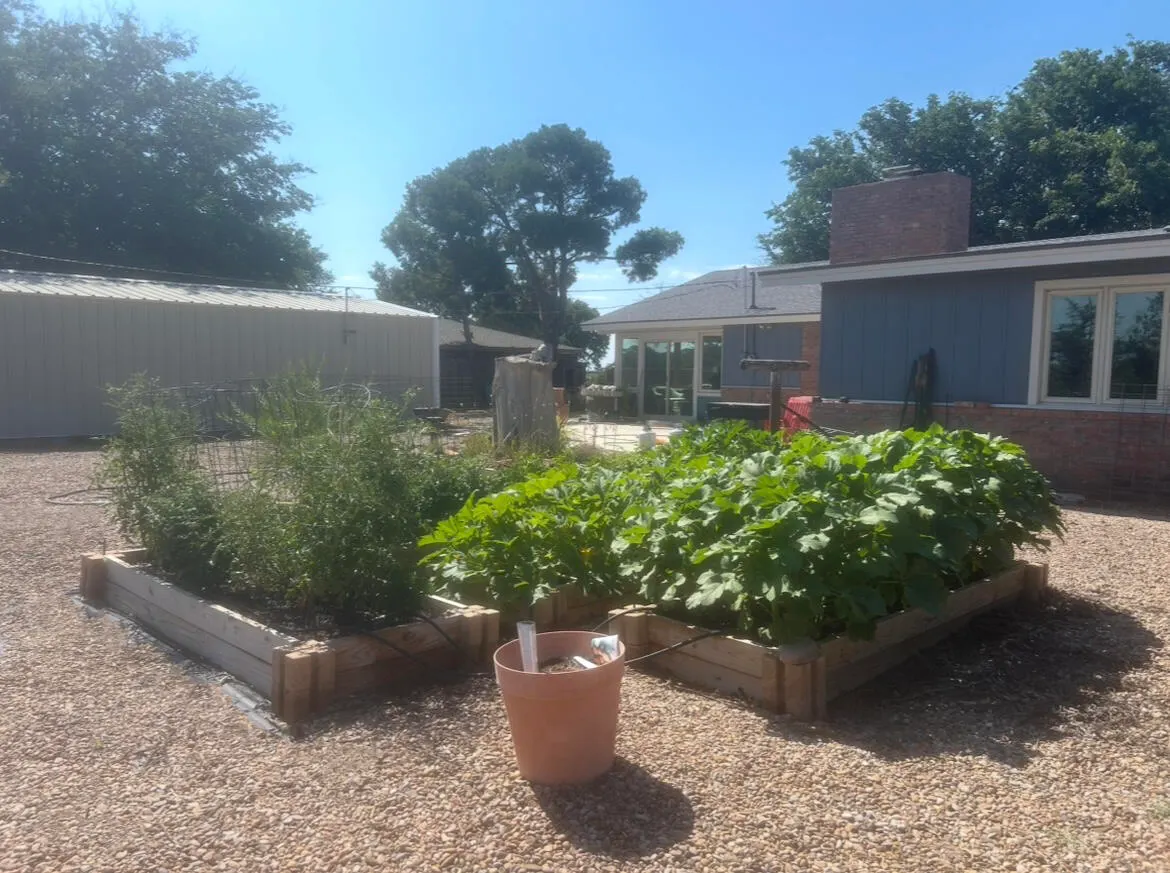 Photo 4 — 1907 US-70, Muleshoe, TX 79347