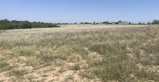 Photo 6 — 2110 CR M, Lamesa, TX 79331