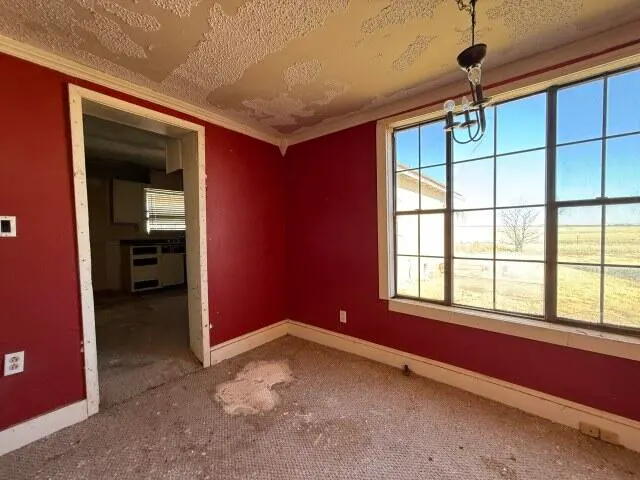 Photo 19 — 1112 County Road Y, Plainview, TX 79072